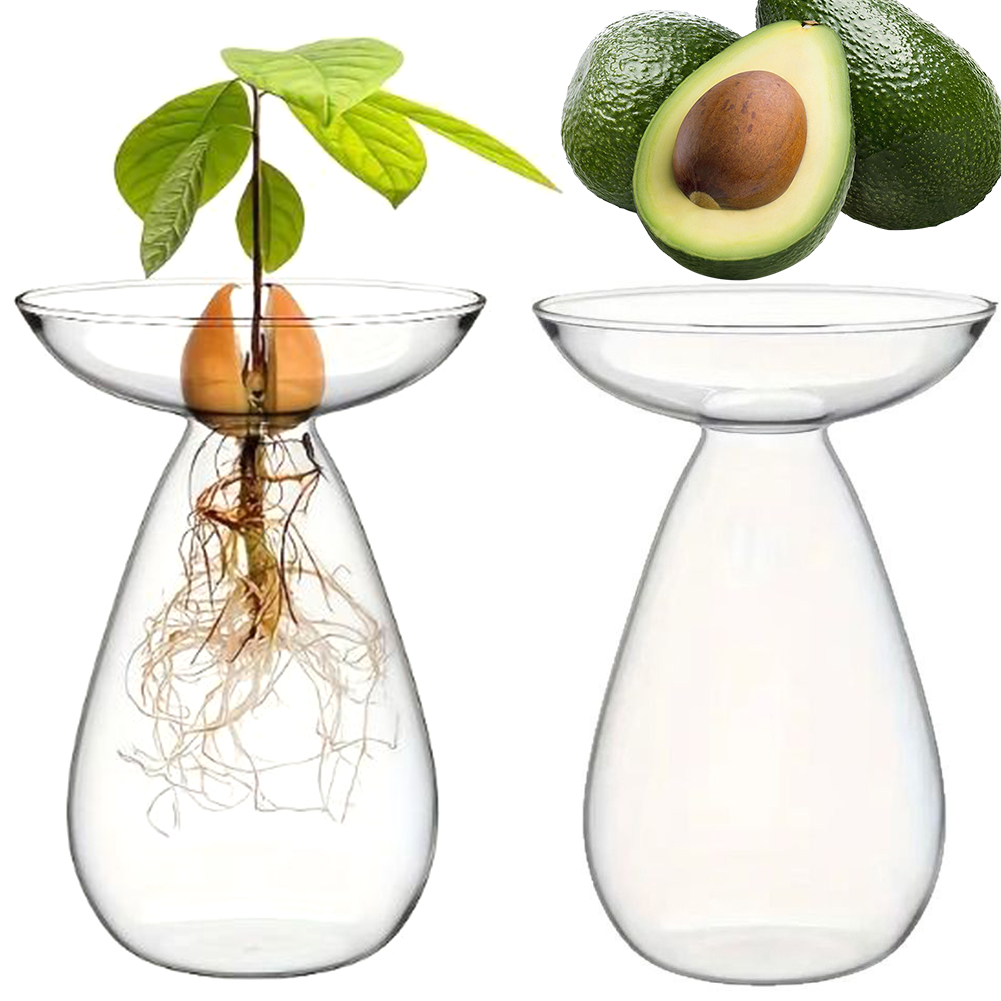 Wazon do rozpalania awokado pr – Propagation Station Vase recenzja i cena